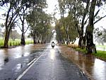 Angaston1