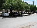 IMG 0142