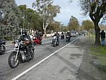 IMG_4203.JPG