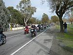 IMG_4205.JPG