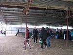 IMG_4251.JPG