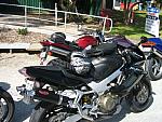 IMG_4308.JPG