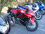 IMG_4438.JPG