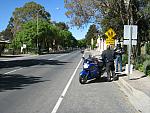 IMG_4462.JPG