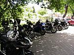 IMG_0231.JPG