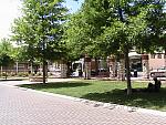 IMG_0232.JPG