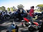 IMG 0506