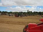 IMG_5154.JPG