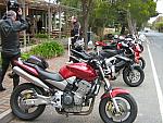 IMG_5219.JPG