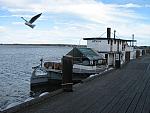 IMG_5250.JPG