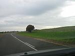 IMG_5369.JPG