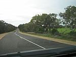 IMG_5377.JPG