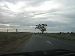 IMG_5382.JPG