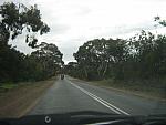 IMG_5400.JPG