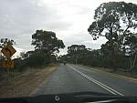 IMG_5401.JPG
