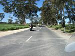 IMG_5593.JPG
