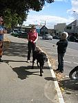 Photo courtesy of Sue (she is the one driving the blue car as her bike is in the shop!)