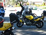 IMG 0683