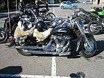 IMG_6350.JPG