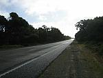 IMG_6502.JPG