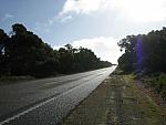 IMG_6505.JPG