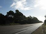IMG_6515.JPG