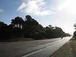IMG_6516.JPG
