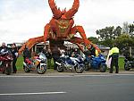 IMG_6527.JPG