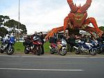 IMG_6528.JPG