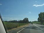 IMG_6933.JPG