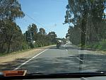 IMG_6952.JPG