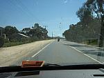 IMG_6956.JPG