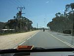 IMG_6957.JPG