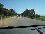 IMG_7026.JPG