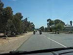 IMG_7033.JPG