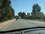 IMG_7037.JPG