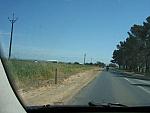 IMG_7038.JPG