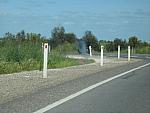 IMG_7127.JPG