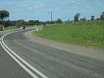 IMG_7132.JPG