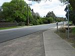 IMG_7219.JPG