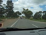 IMG_7391.JPG