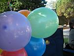IMG_7416.JPG