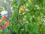 IMG_7425.JPG