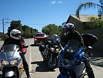 IMG_7445.JPG