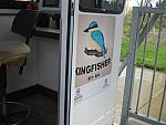 IMG_7691 (Medium).JPG