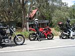 IMG_7703 (Medium).JPG