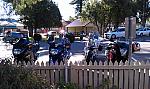 IMAG0041.jpg
