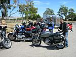 IMG 0881