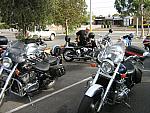 IMG 0974