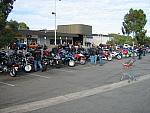 IMG 0981